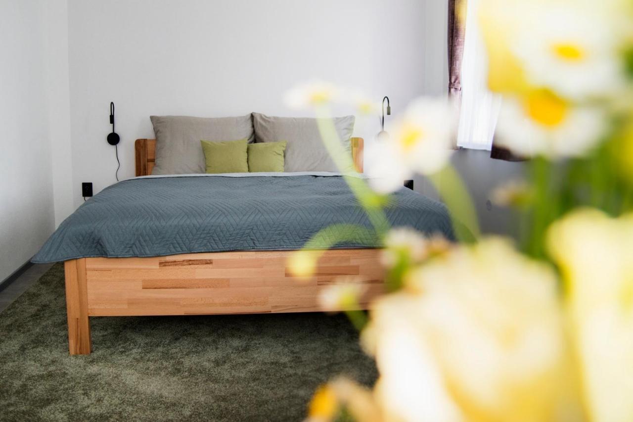Apartmán Goliáš Krásná Lípa Exteriér fotografie